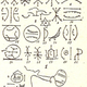 Ancient Nsibidi script from southeastern Nigeria